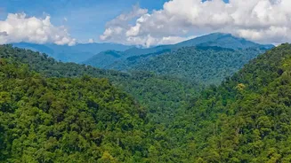 Northeast India's Forests And Valleys Shine During Monsoon