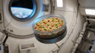 Gaganyaan And Food Technology: How India Is Preparing Meals For Space
