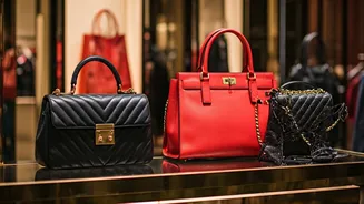 Decoding Celebrity Fashion: A Style Guide