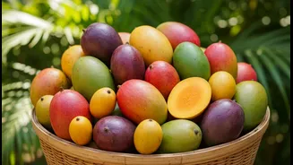 Across India: Mango Festivals are giving overlooked cultivars a national stage