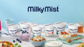 Milky Mist IPO opens with 15% GMP: Apply or avoid?