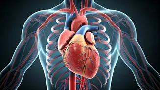 Exercise for Longevity: Expert's Guide