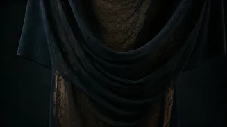 Lisa's Golden Globes Glamour: A Sheer Black Dress