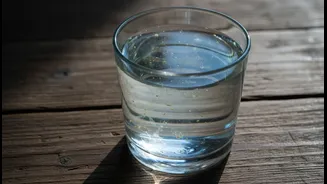 How Visual Clarity Masks Real Typhoid Infections In Domestic Urban Water Infiltration Studies