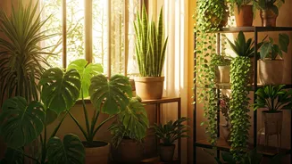 Indoor Plants Dominate Home Decor Trends