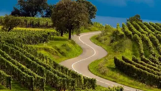 Western Ghats Monsoon Drives: Scenic Routes Around Satara And Mahabaleshwar For Travellers
