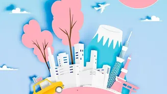In Practice, Japan and Vietnam Trips Need Different Buffers for Domestic Connections