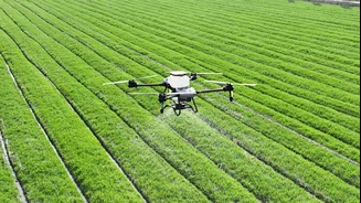 How AI Can Revolutionise Indian Agriculture