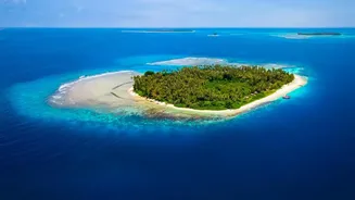 Lakshadweep Coral Reef Conservation Strategies Rely On Mandatory Sustainable Island Travel Protocols Today