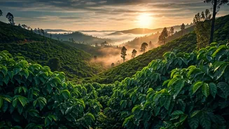 Eco Trekkers Head To Coorg And Wayanad For Misty Valleys
