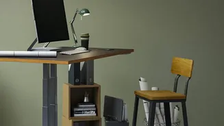 Adjust Monitor Height And Chair Lumbar Support To Prevent Chronic Lower Back Pain At Work