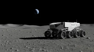 Local Navigation Signals On The Lunar Surface: What NASA's Lunar Navigation Payload Could Enable