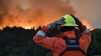 "Super El Niño" pode gerar incêndios extremos em todo o mundo em 2026
