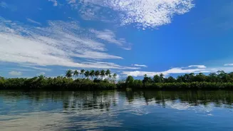 Offbeat Kerala Backwaters Munroe Island Offers Cheaper Stay Than Alleppey Houseboats
