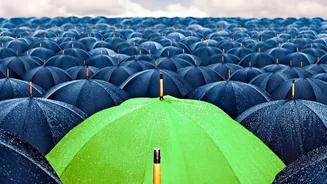 A Rainy-Day Policy Needs Communication, Access and Decision Ownership