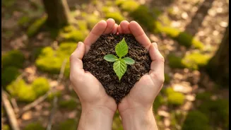 Beyond planting-day photographs, Harela's Sapling Drive highlights how festivals can support lasting climate action