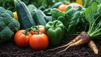 Rainy Days Mean Better Vegetable Harvests
