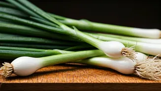 10 Spring Onion Dishes: A Culinary Journey