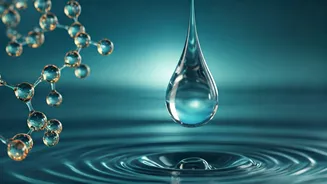 Omega-3 vs. Fish Oil: Unraveling the Health Essentials for You