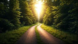 The Long Way Around: Unpacking the Japanese Proverb on Patience and Planning