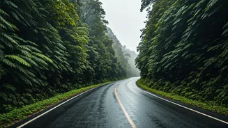 These Rainy Mountain Roads Deserve Your Next Weekend