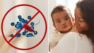 World Malaria Day: Key symptoms and risks in children, when parents should seek urgent care