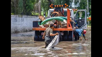 Understanding Urban Flooding: Causes, Effects, and Prevention