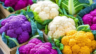 Clear Decisions On Delicate Vegetables Help Organise A Use-First Produce Box