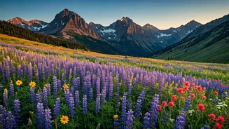 Crested Butte: America's Wildflower Capital Blooms Brightly