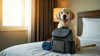 Pet-Friendly Travel Makes Holidays Less Guilt-Heavy