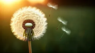 5 Japanese Wisdom Quotes to Empower Kids: Embrace Resilience and Never Give Up