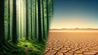 The Planet Is Influencing Travel Decisions