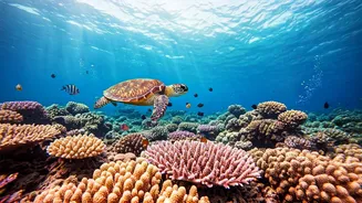 Dive into Wonder: Earth's Most Spectacular Underwater Havens