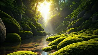 Escape Burnout: 5 Essential Strategies to Reclaim Your Energy and Well-being