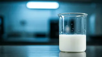 Busted in Gujarat: A Synthetic Milk Factory and 6 Ways to Detect Adulteration at Home