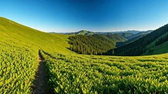 Plan Eco Conscious Weekend Treks Green Hills Lonavala Mahabaleshwar