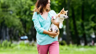 Pet Parents Are Paying Closer Attention To Ticks And Paws When Monsoon Walks Increase
