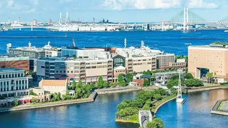 The Science Behind Japan's Frequent Tremors and Coastal Tsunami Risk