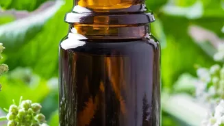 Herbal Adaptogens For Stress: Ashwagandha vs Brahmi Comparison For Young Salaried Professionals