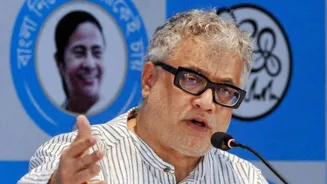 'EC' For 'Ekdum Chor': Derek O'Brien's One-Line Swipe Over SIR