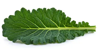 Related Stories banner