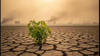 Why Young Indian Readers, Students and Local Climate Storytellers Need Better Guidance on Air