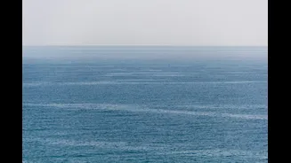 Record-Quiet Atlantic Hurricane Season Linked to El Niño