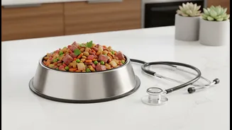 Fancy Pet Meals Still Need Vet Sense