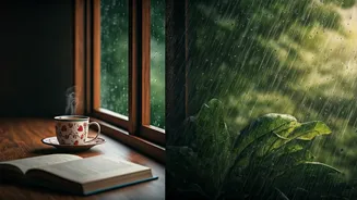 What's Better During India's Rainy Season?