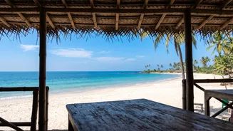 How To Work Remotely From South Goa Beachside Cafes On A Shoestring Budget