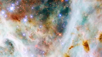 The Role of the Boundary with Interstellar Space in NASA's First Public IMAP Science Data