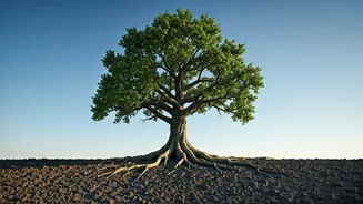 Gandhi's Wisdom Can Unleash Your Inner Power.