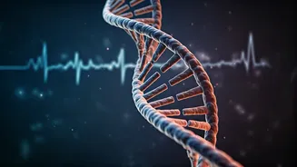 World Hemophilia Day 2026: Unpacking Diagnosis, Symptoms, and Lifecare Strategies