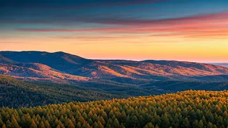 Seasonal Escapes: Your Guide to the World's Best Travel Times